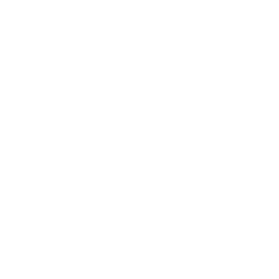 Logo Festina